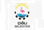 çiğli led değişimi